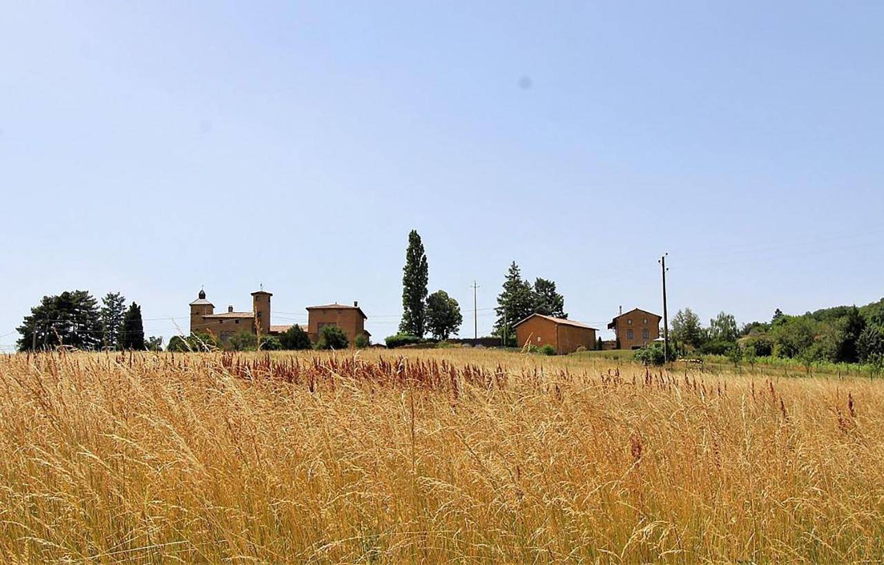 Five-Bedroom House in Cogny, Beaujolais
