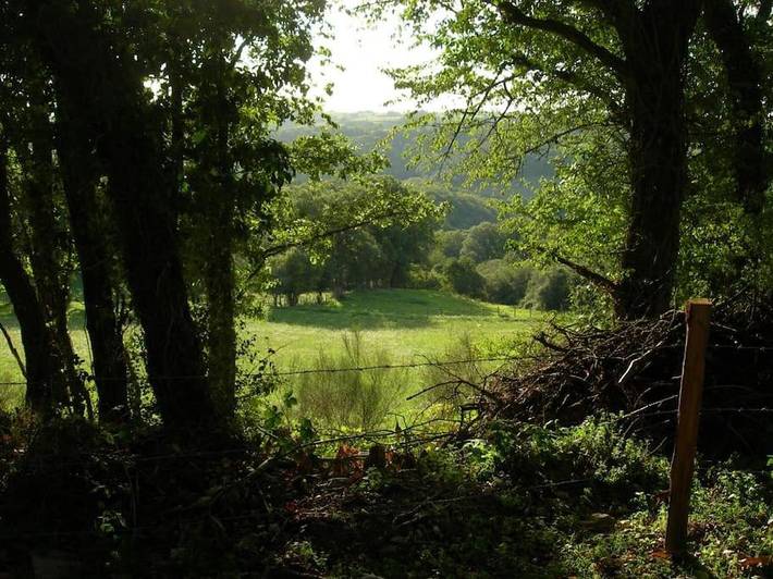 Location de vacances pour 6 personnes, avec vue et jardin, animaux acceptés à Moyrazès - 4