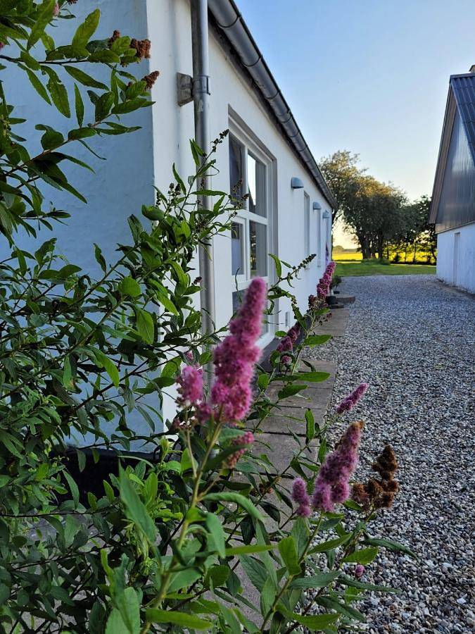 Ferienhaus für 6 Personen, mit Terrasse und Garten sowie Ausblick