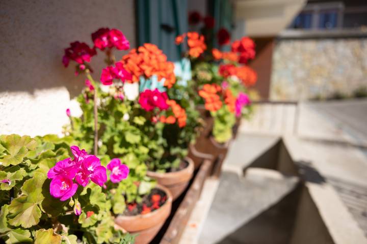 Entire apartment, Apartment 'La Rose des Vents N 1' with Mountain View, Balcony & Wi-Fi in Châtel, Les Portes du Soleil