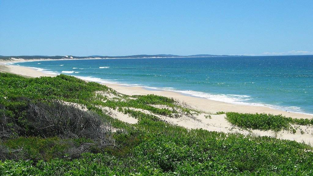 Tierfreundlich - In der Nähe von Myall River in Hawks Nest, Hunter Valley
