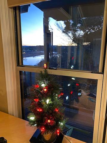 Log Cabin for 4 People in Texas Hill Country, Texas, Photo 4