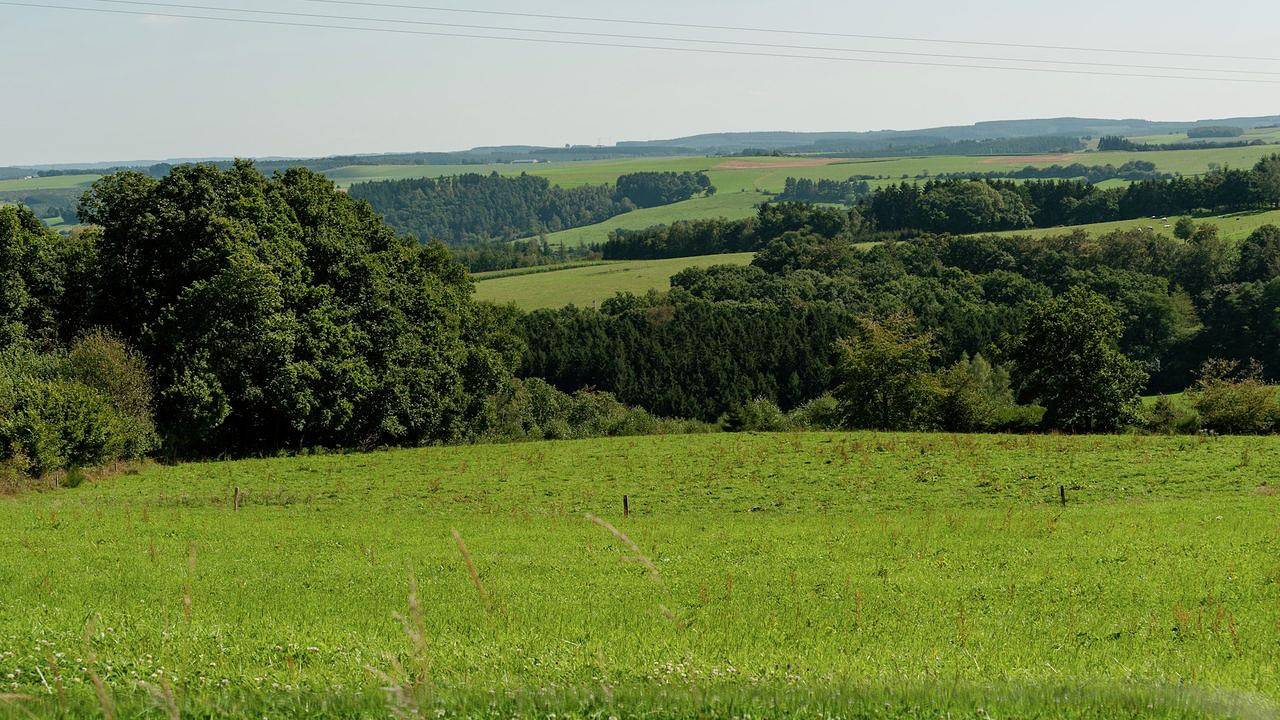 Ferienhaus für 8 Personen (165 m²) in Beffe in Rendeux, Luxemburg Provinz