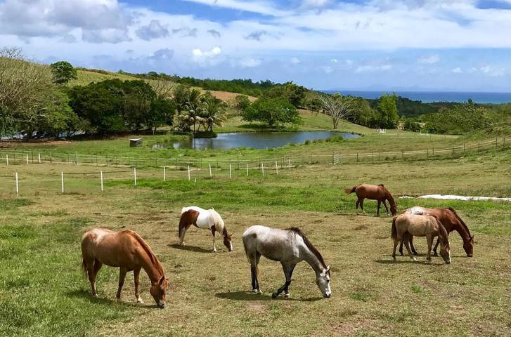 Maison de vacances pour 4 personnes, avec vue ainsi que jardin et vue sur le lac