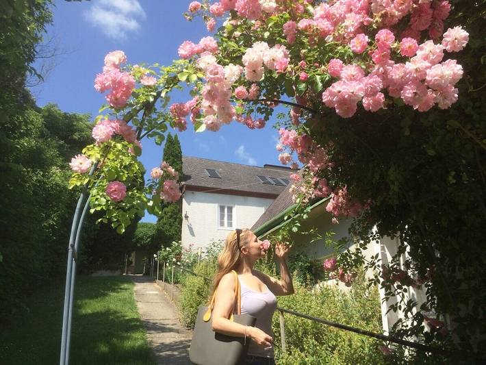 Ferienhaus für 5 Personen, mit Garten in Klosterneuburg - 4