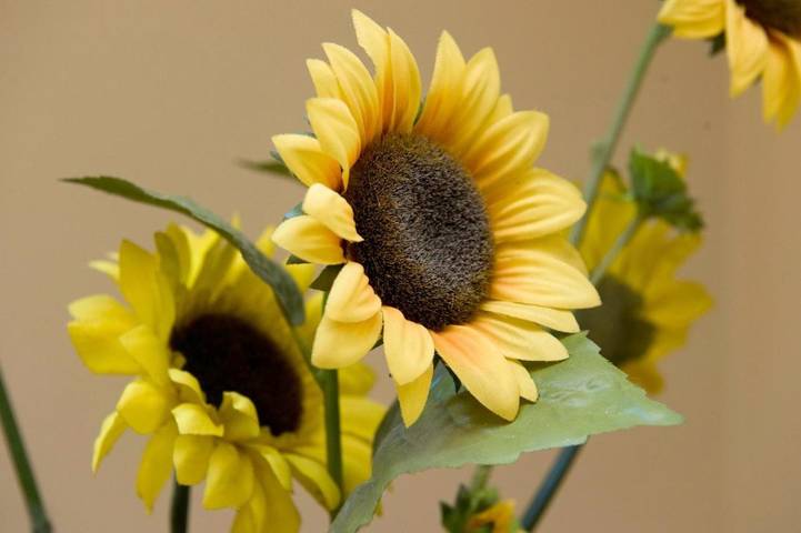 Location de vacances pour 2 personnes, avec jardin et vue à Hasselt - 2