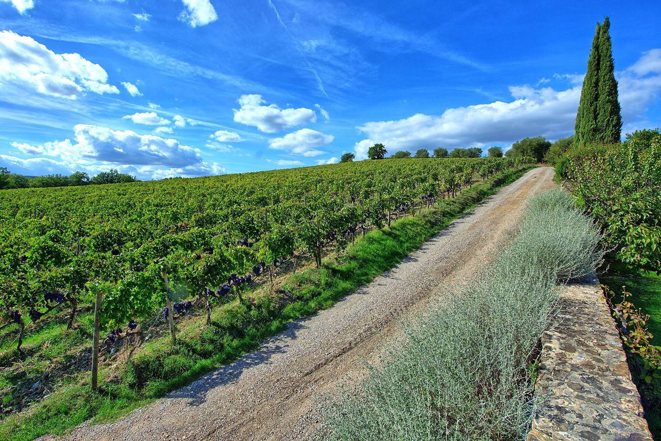 Ganze Ferienwohnung, Brunello - Brunello 1 in Montalcino, Orciatal