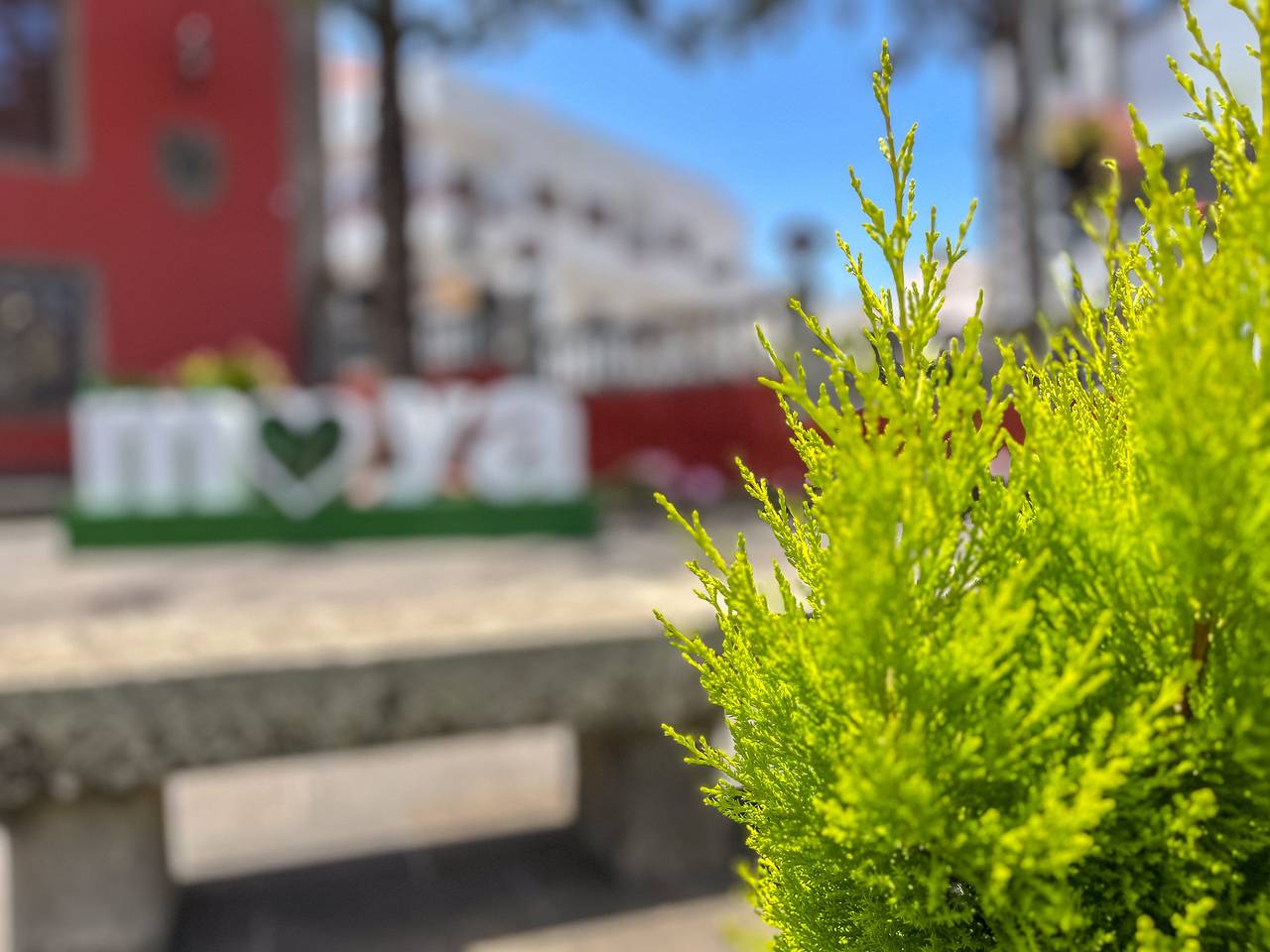 Apartamento entero, 3 Suites Simón Millán - Heart of Moya in Moya, Gran Canaria Norte