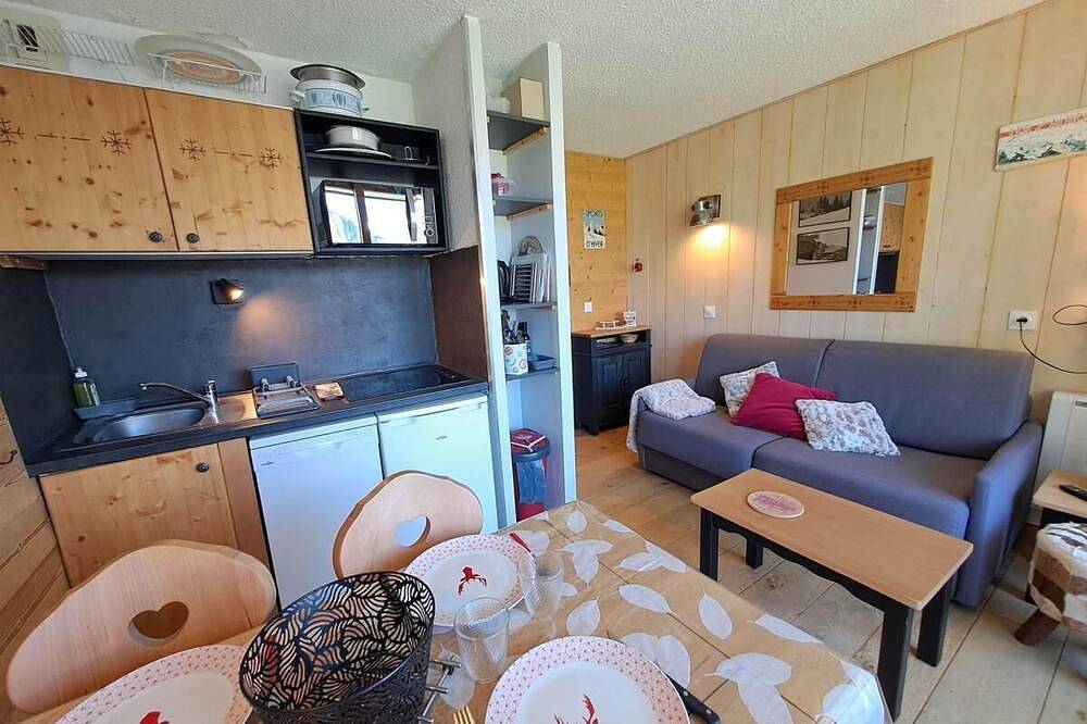 Appartement entier, 7ème étage, vue montagne, balcon, parking, télévision, casier à ski, 28m², Les 2 Alpes in Vénosc, Les Deux Alpes