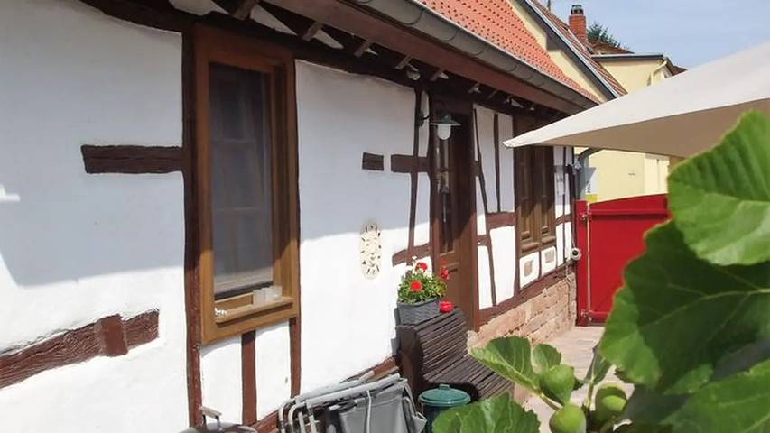Location de vacances pour 4 personnes, avec terrasse à Billigheim-Ingenheim