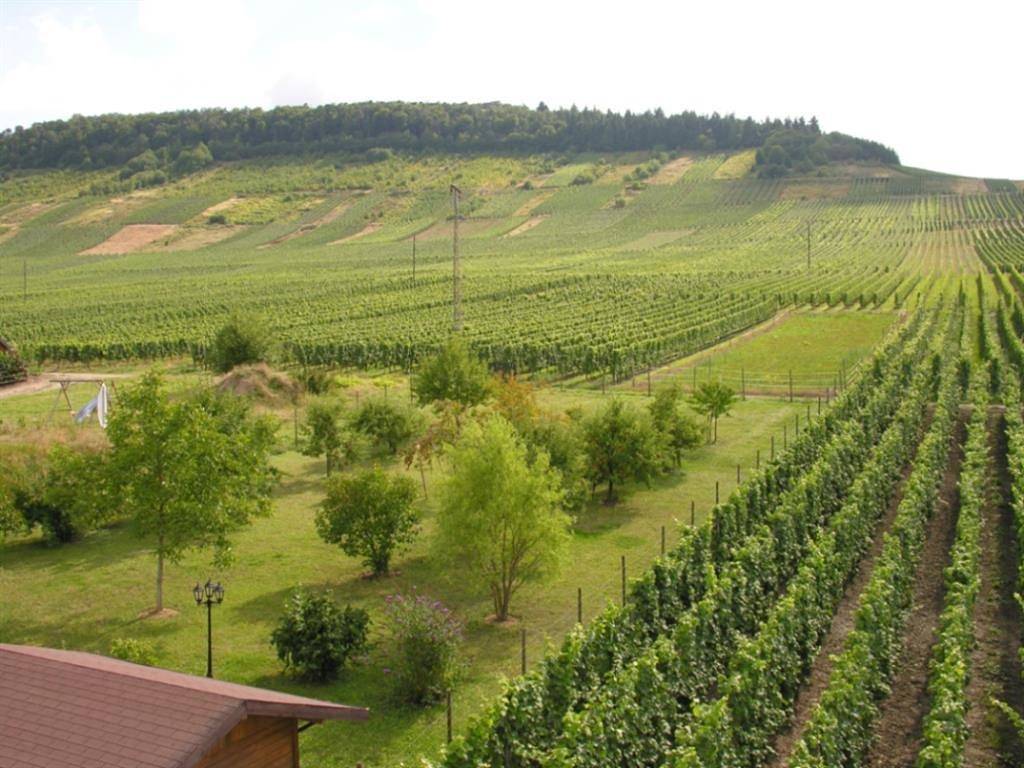Ganze Ferienwohnung, Ferienwohnungen Thielen in Leiwen, Moseleifel