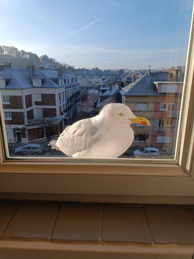 Appartement de vacances pour 3 personnes, avec Vue