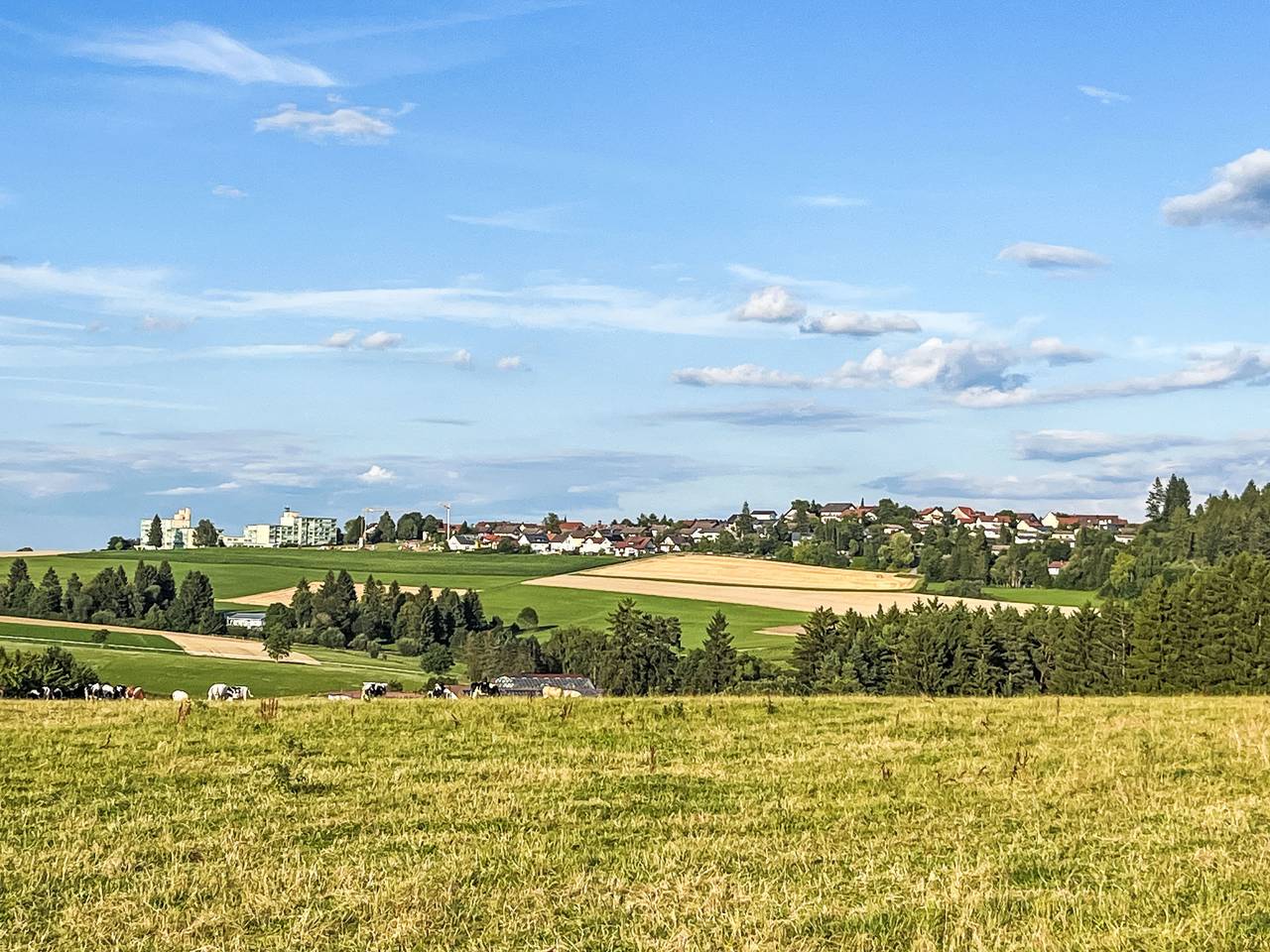 Mily in Dittishausen (Löffingen), Löffingen