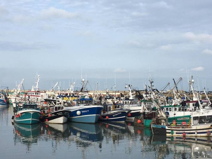 Location de vacances pour 5 personnes, avec terrasse et vue, animaux acceptés à Port-en-Bessin-Huppain - 3