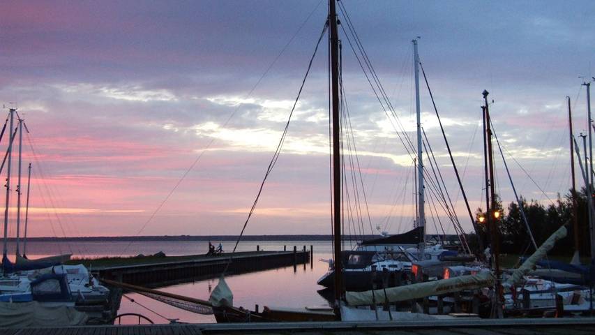 Ferienhaus für 6 Personen, mit Sauna und Terrasse sowie Garten, mit Haustier in Saal - 4