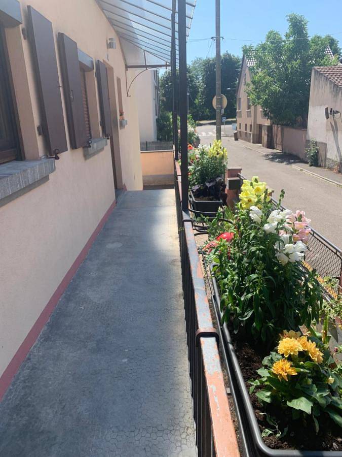 Location de vacances pour 6 personnes, avec terrasse à Ingersheim - 3