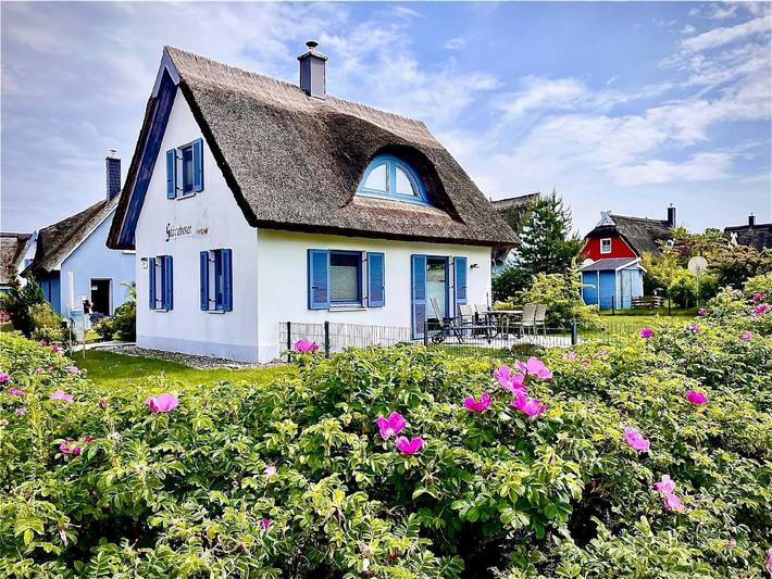 Ferienhaus für 4 Personen, mit Garten, mit Haustier in Glowe - 3