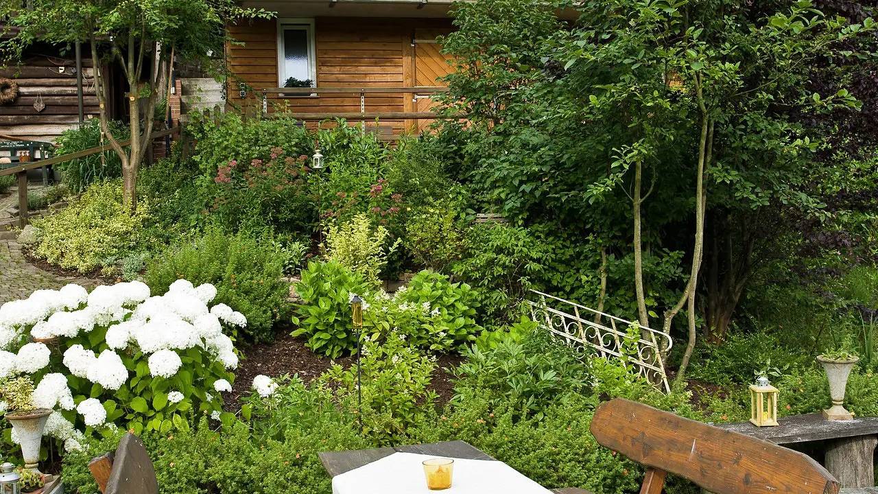 Ferienhaus für 2 Personen (48 m²) in Bodenfelde in Amelith, Bodenfelde
