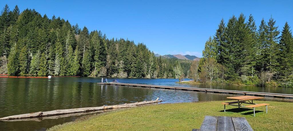 Cozy Winter Retreat w/ Woodstove & Old School Movies - Hoodsport / Lake Cushman in Lake Cushman