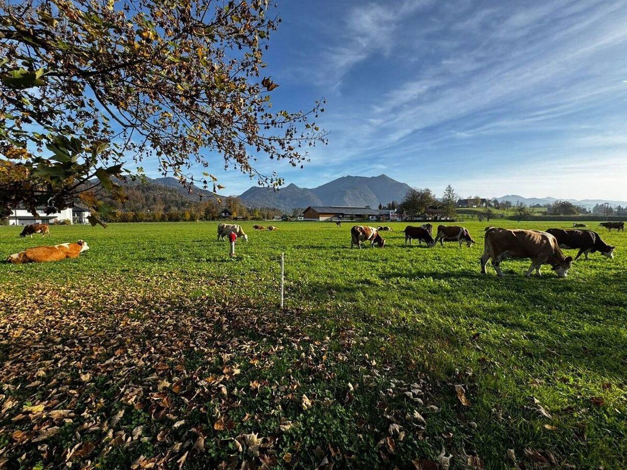 Ganze Ferienwohnung, Klinglerbauer - Ferienwohnung Schafberg in Salzkammergut-Berge, Strobl
