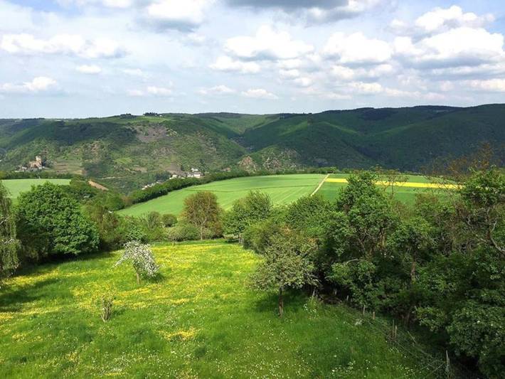 Ferienwohnung für 9 Personen, mit Balkon und Terrasse sowie Ausblick in Bacharach