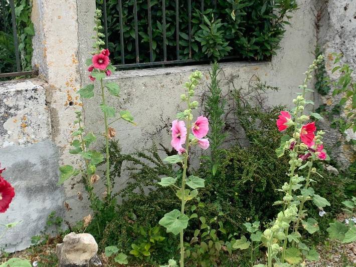 Gîte pour 2 personnes, avec terrasse à Villeneuve-la-Comtesse - 3