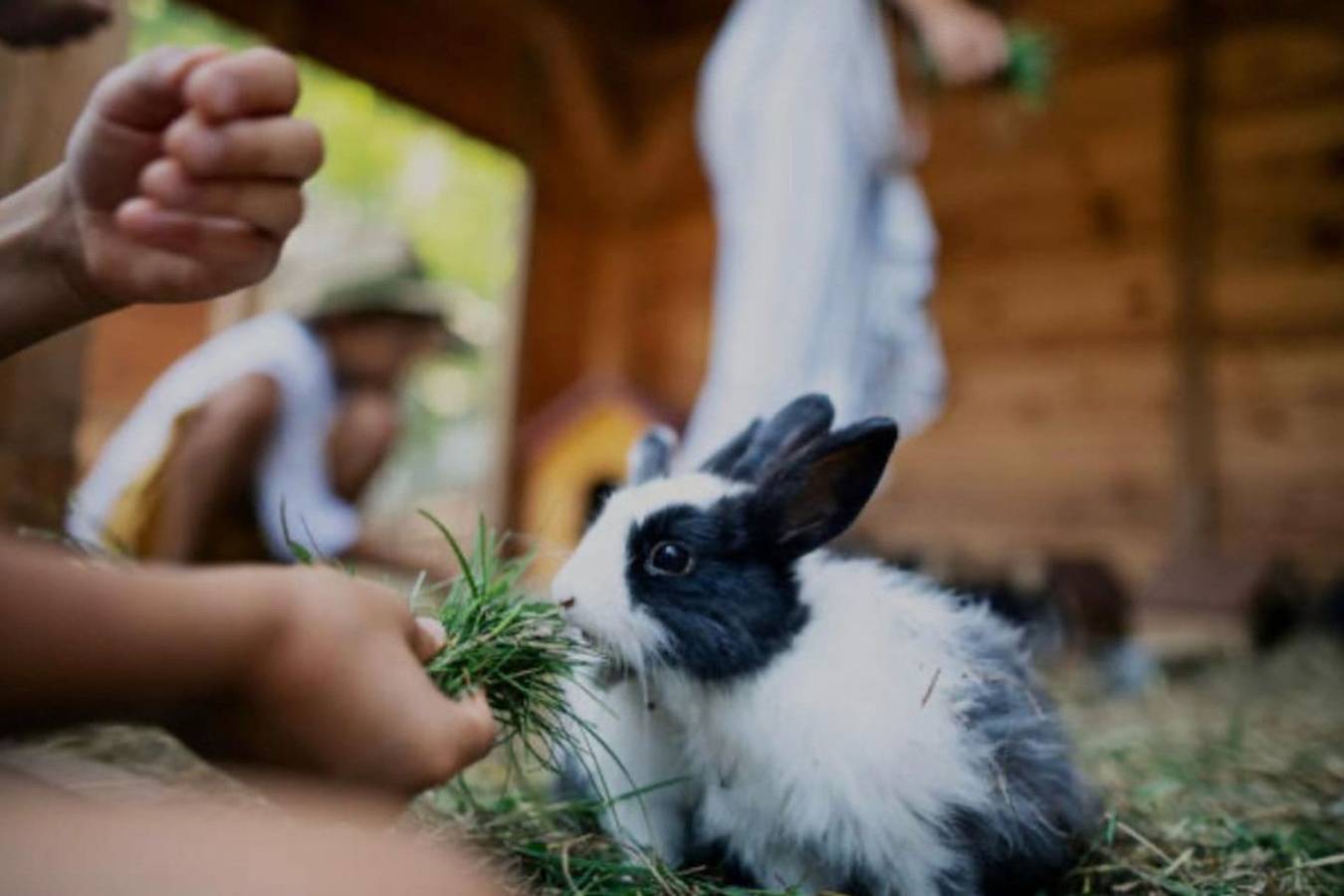 Apartamento entero, Natural Getaway at Orchard Farm Lakeside Retreat in Condado de Orange (NY)