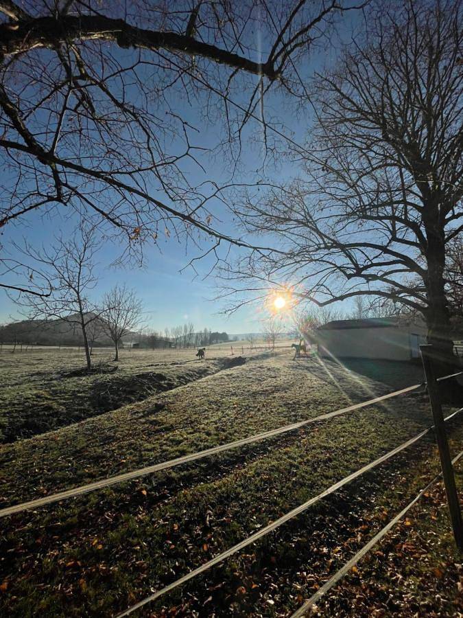 Location de vacances pour 2 personnes, avec jacuzzi et piscine ainsi que jardin et sauna, adapté aux familles à Penne-d'Agenais - 4