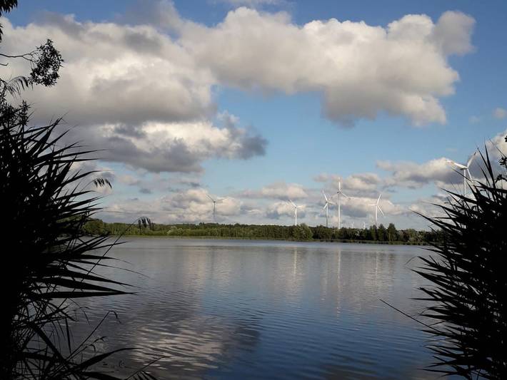 Ferienhaus für 5 Personen, mit Garten und Terrasse in Lübbenau - 4