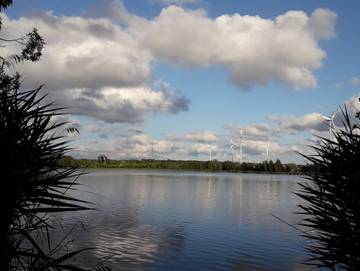 Ferienhaus für 5 Personen in Lübbenau, Spreewald, Bild 3