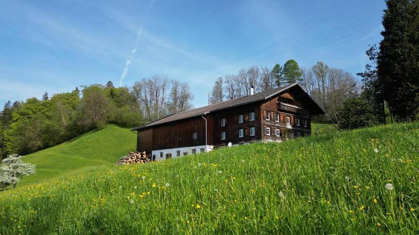 Ferienhaus für 10 Personen, mit Ausblick und Garten, mit Haustier in Bodensee-Vorarlberg - 3