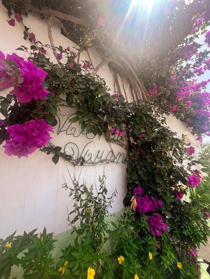 Chambre d’hôte pour 2 personnes, avec terrasse et piscine dans Praia - 4