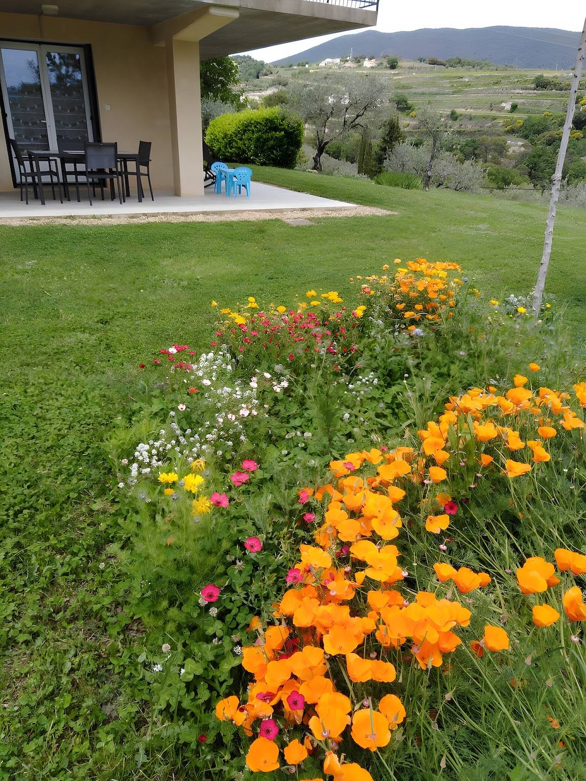 Ganze Wohnung, Ferienwohnung „Gîte Des Lavandes“ mit Bergblick und Wlan in Nyons, Nyons und Umgebung