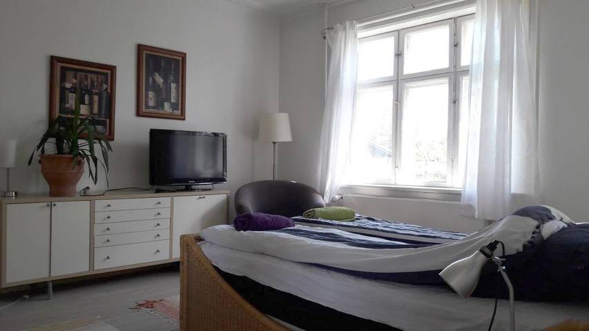 Location de vacances pour 3 personnes, avec jardin, animaux acceptés à Copenhague - 3