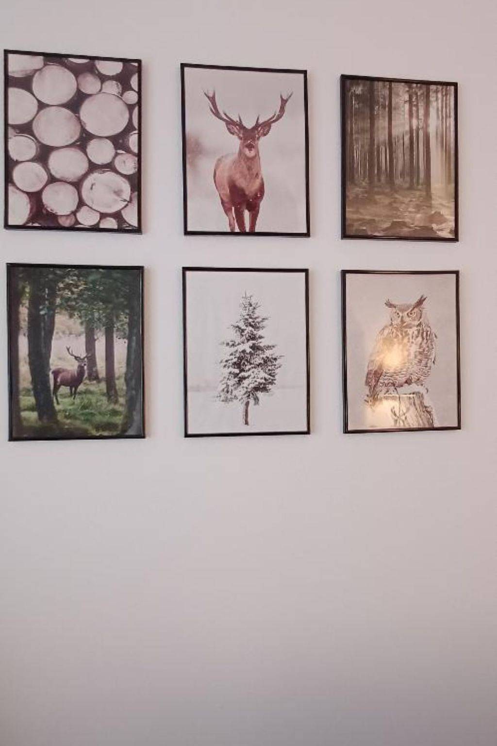 Apartamento entero, Fichtelzauber mit Sauna in Mehlmeisel, Distrito de Bayreuth