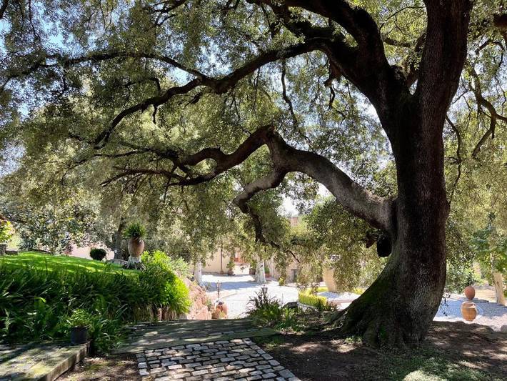 Casa rural para 2 personas, con piscina además de vistas y jardín en Valles Oriental - 4