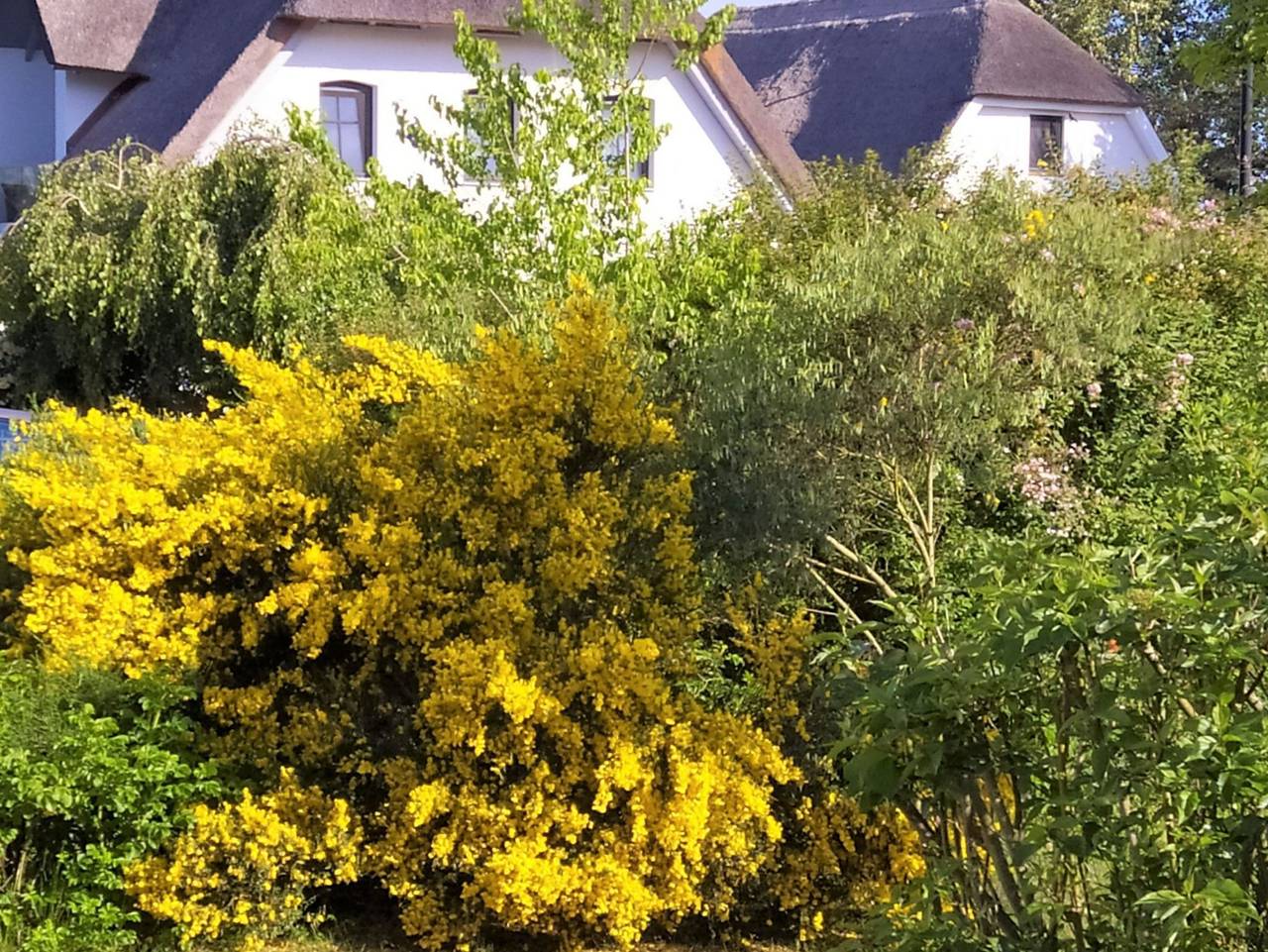 Ganze Ferienwohnung, Lod - Biesewig - Wohnung 5 in Loddin, Bernsteinbäder