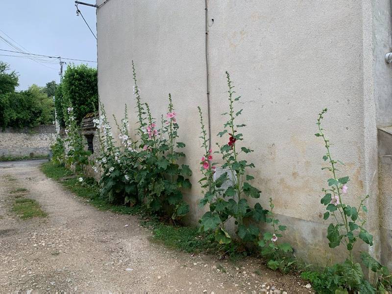 La Maison de Françoise in Féricy, Sena y Marne