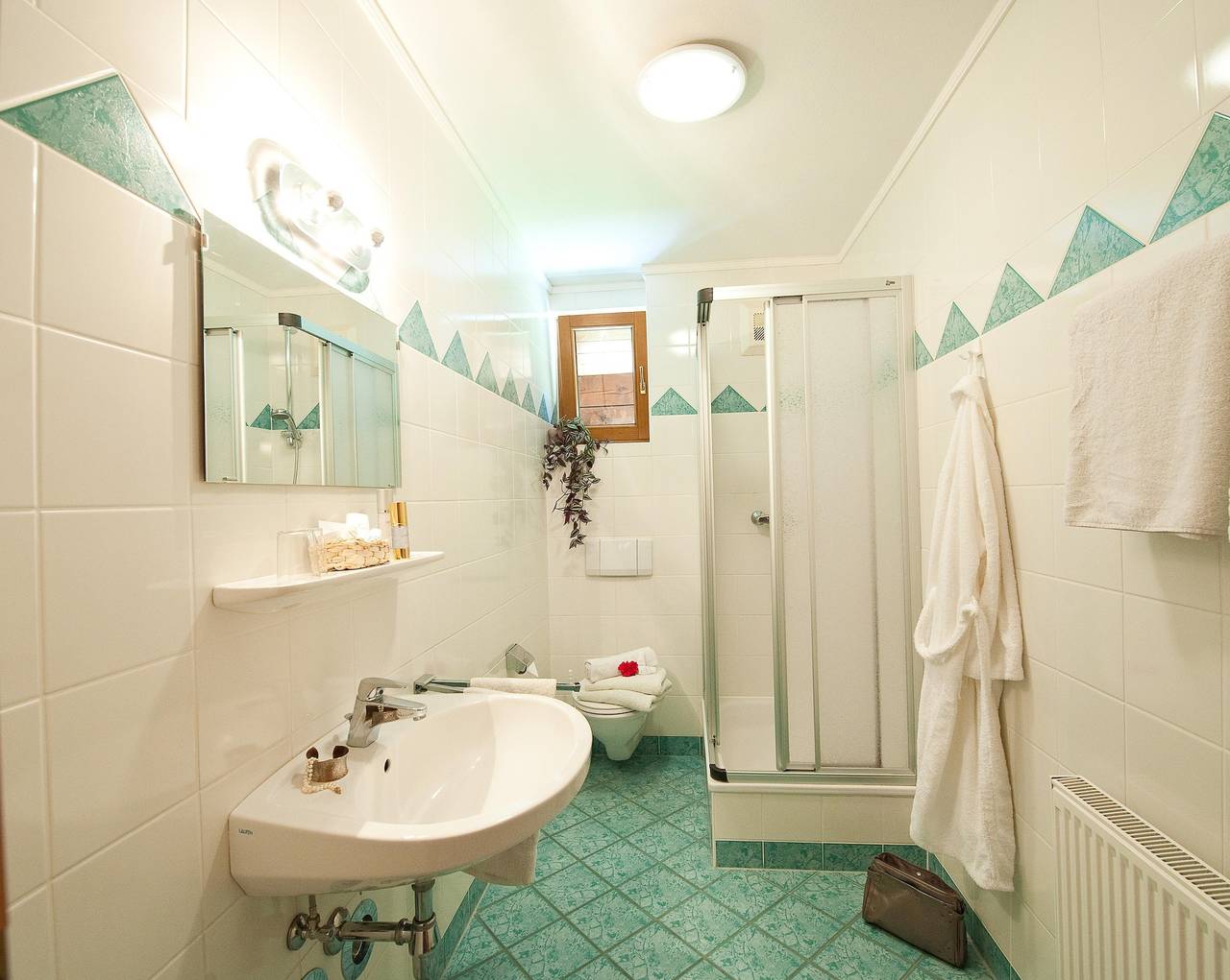 Ganze Ferienwohnung, Hartlbauer,  Appartements in Dorfgastein, Ski Amadé