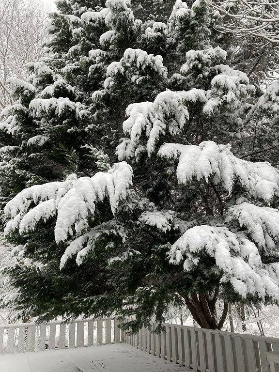 Holiday Home for 6 People in Springs, North Fork