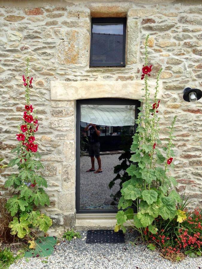 Location de vacances pour 4 personnes, avec jardin, animaux acceptés à Digosville - 2