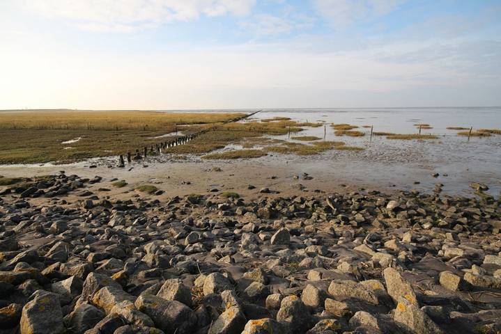 Ferienhaus für 7 Personen, mit Garten in Norden-Norddeich - 3