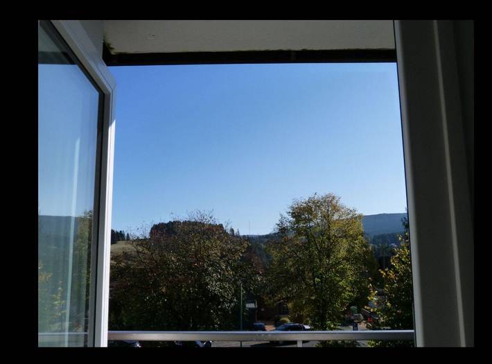 Ferienwohnung für 5 Personen, mit Balkon im Harz - 3