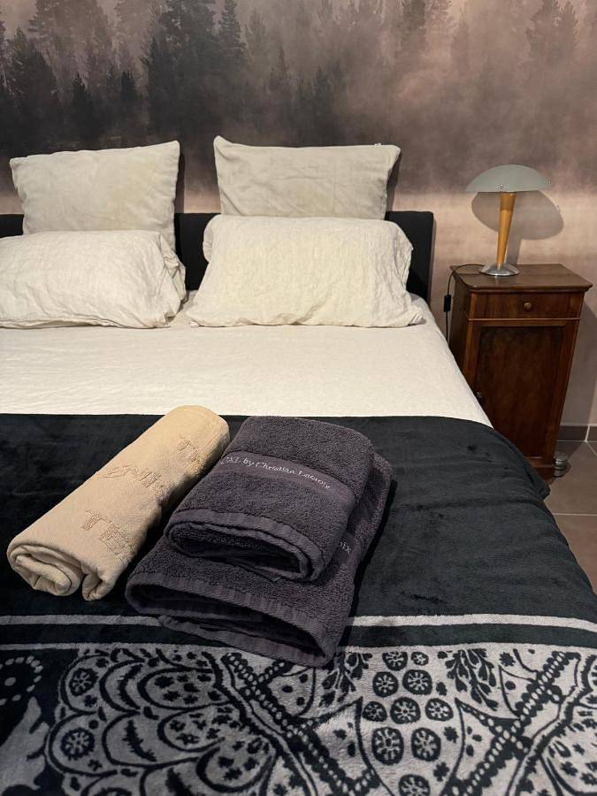 Chambre d’hôte pour 2 personnes, avec jardin et piscine à Saint-Rémy-de-Provence - 3