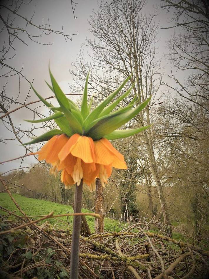 Gîte pour 2 personnes, avec jardin, animaux acceptés à Charbonnières-les-Vieilles - 4