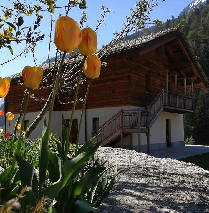 Casa vacanza per 5 persone, con terrazza e giardino nonché panorama a Comune di Gressoney-Saint-Jean