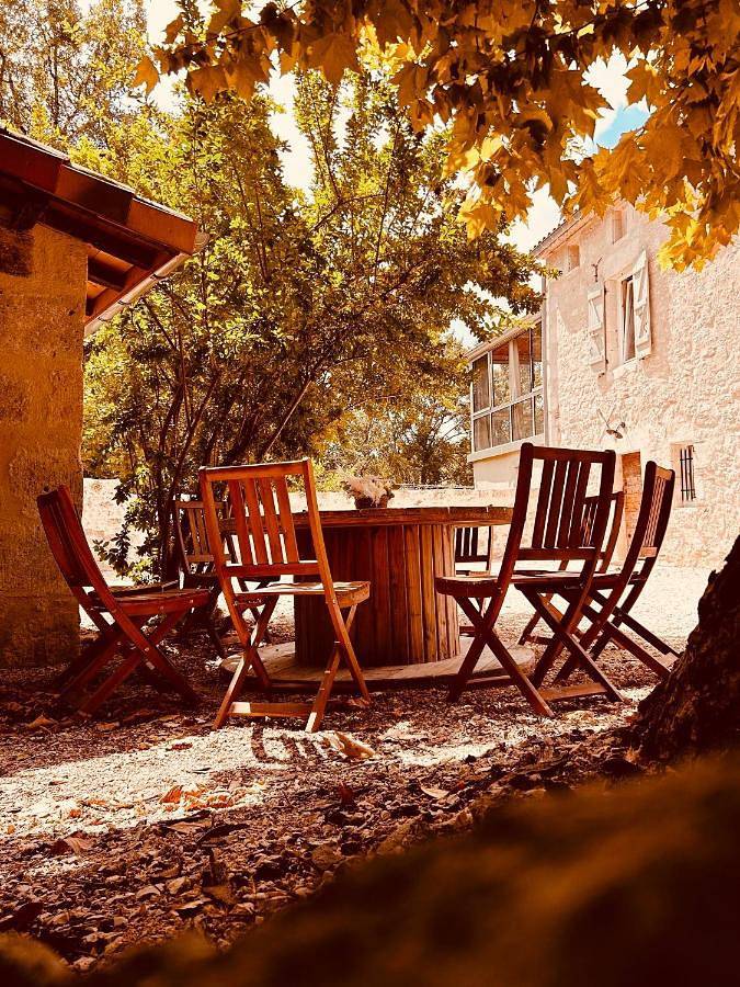 Location de vacances pour 12 personnes, avec jardin et vue, animaux acceptés à Saint-Michel (Tarn-et-Garonne) - 2