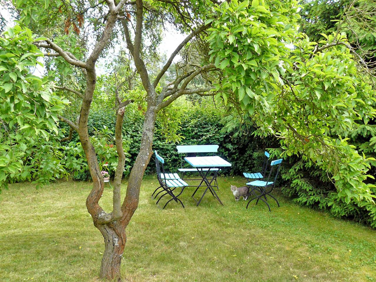 Ganze Ferienwohnung, Ferienhaus Boddenkieker - Ferienhaus in Freest, Vorpommern