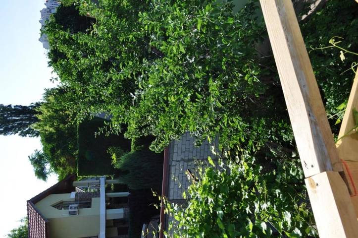 Maison d’hôte pour 4 personnes, avec vue et jardin à Odessa - 3