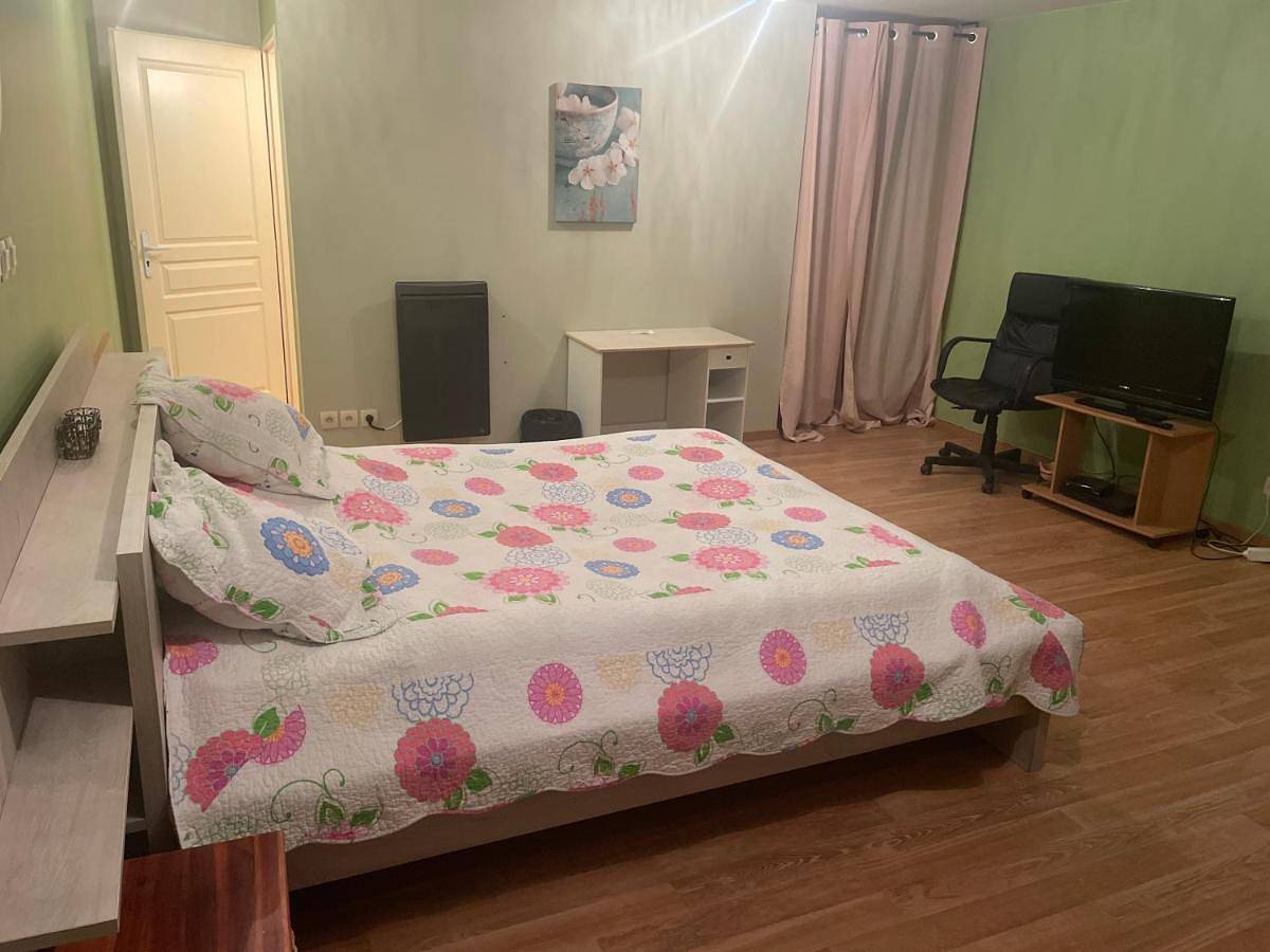 Appartement de vacances entier, Chambre verte spacieuse côté aéroport in Pusignan, Lyon et ses environs